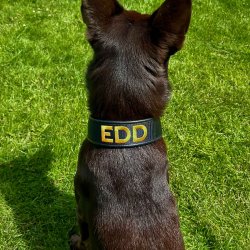  Broderi p� webbing (l�der/webbing halsb�nd)